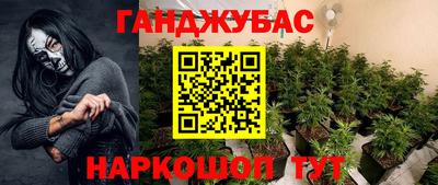 прущие грибы Гусь-Хрустальный
