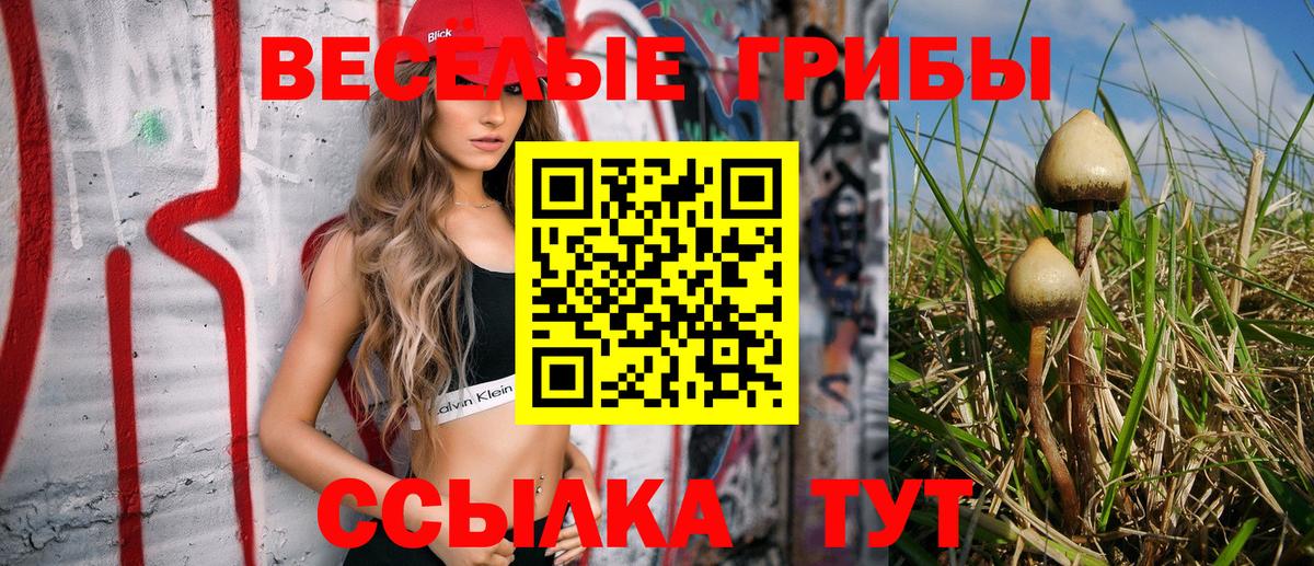 Назрань  Псилоцибиновые грибы Cubensis  даркнет сайт  Галлюциногенные грибы Psilocybine cubensis  Вход с VPN 