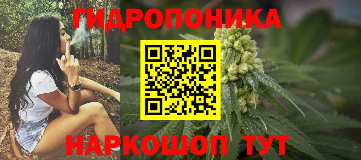 Канабис конопля Назрань